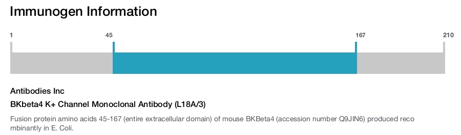 BKbeta4 K+ Channel Monoclonal Antibody (L18A/3)