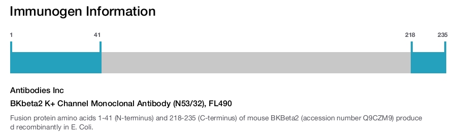 BKbeta2 K+ Channel Monoclonal Antibody (N53/32), FL490