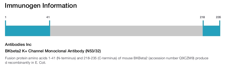 BKbeta2 K+ Channel Monoclonal Antibody (N53/32)