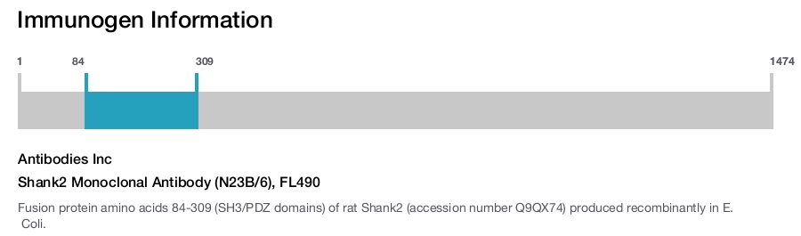 Shank2 Monoclonal Antibody (N23B/6), FL490