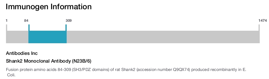 Shank2 Monoclonal Antibody (N23B/6)