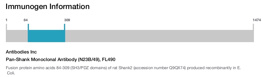 Pan-Shank Monoclonal Antibody (N23B/49), FL490