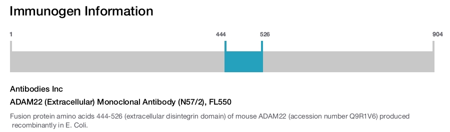 ADAM22 (Extracellular) Monoclonal Antibody (N57/2), FL550