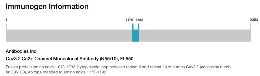 Cav3.2 Ca2+ Channel Monoclonal Antibody (N55/10), FL550