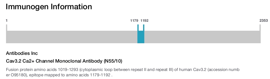 Cav3.2 Ca2+ Channel Monoclonal Antibody (N55/10)