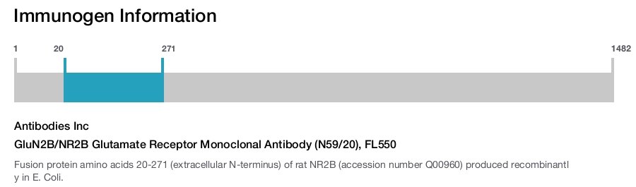 GluN2B/NR2B Glutamate Receptor Monoclonal Antibody (N59/20), FL550