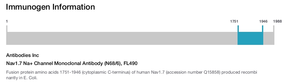 Nav1.7 Na+ Channel Monoclonal Antibody (N68/6), FL490