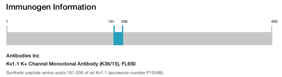 Kv1.1 K+ Channel Monoclonal Antibody (K36/15), FL650