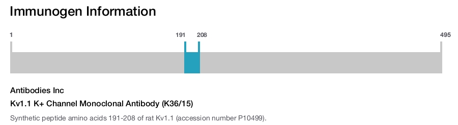 Kv1.1 K+ Channel Monoclonal Antibody (K36/15)