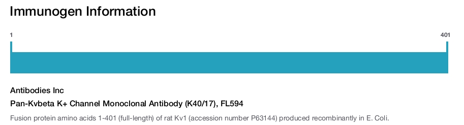 Pan-Kvbeta K+ Channel Monoclonal Antibody (K40/17), FL594