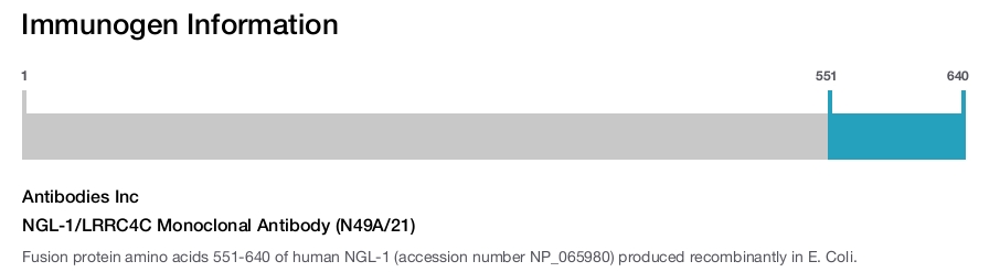 NGL-1/LRRC4C Monoclonal Antibody (N49A/21)