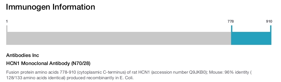 HCN1 Monoclonal Antibody (N70/28)