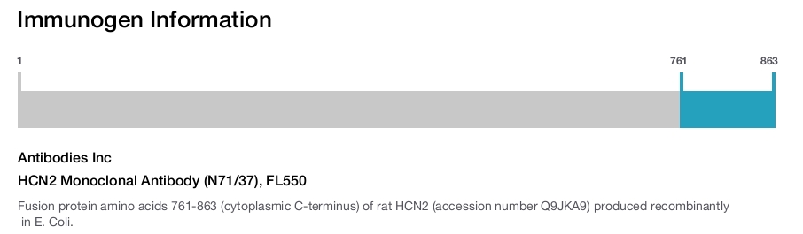 HCN2 Monoclonal Antibody (N71/37), FL550