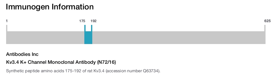 Kv3.4 K+ Channel Monoclonal Antibody (N72/16)