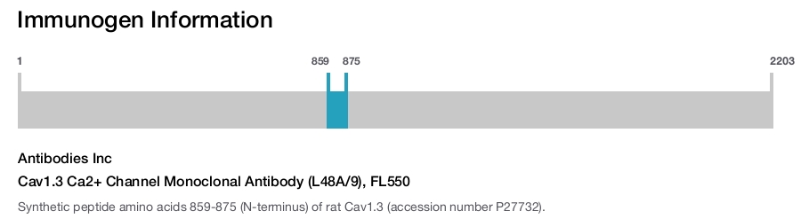 Cav1.3 Ca2+ Channel Monoclonal Antibody (L48A/9), FL550