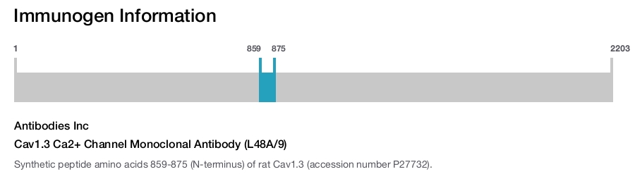 Cav1.3 Ca2+ Channel Monoclonal Antibody (L48A/9)