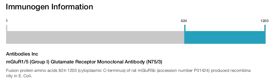 mGluR1/5 (Group I) Glutamate Receptor Monoclonal Antibody (N75/3)