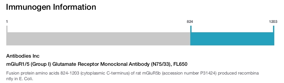 mGluR1/5 (Group I) Glutamate Receptor Monoclonal Antibody (N75/33), FL650