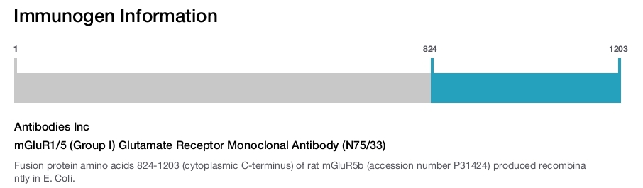 mGluR1/5 (Group I) Glutamate Receptor Monoclonal Antibody (N75/33)