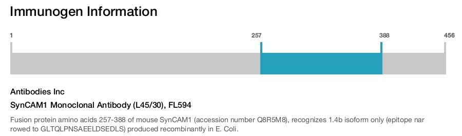 SynCAM1 Monoclonal Antibody (L45/30), FL594