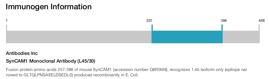 SynCAM1 Monoclonal Antibody (L45/30)