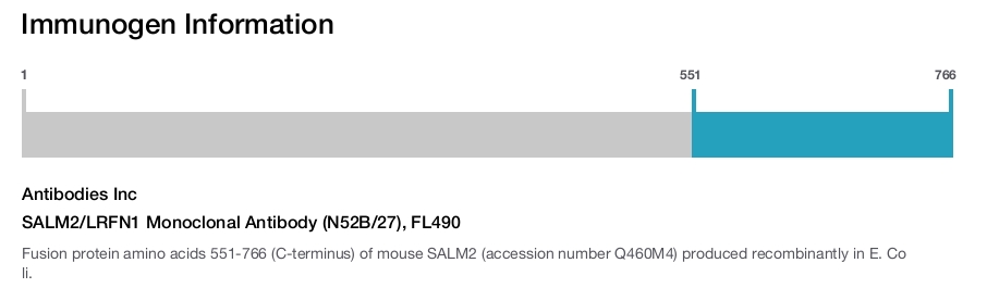 SALM2/LRFN1 Monoclonal Antibody (N52B/27), FL490