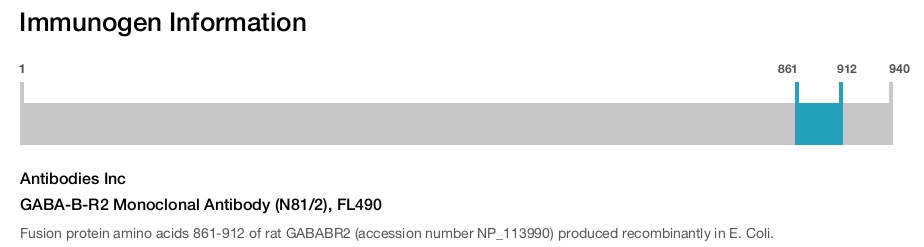 GABA-B-R2 Monoclonal Antibody (N81/2), FL490