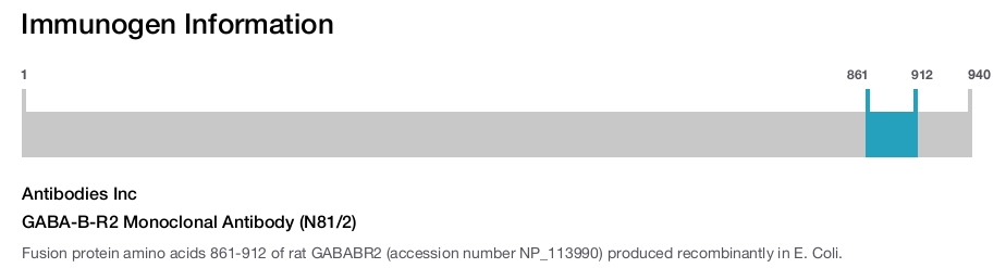 GABA-B-R2 Monoclonal Antibody (N81/2)