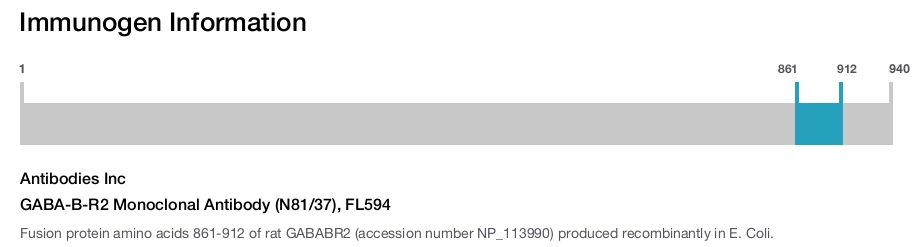 GABA-B-R2 Monoclonal Antibody (N81/37), FL594