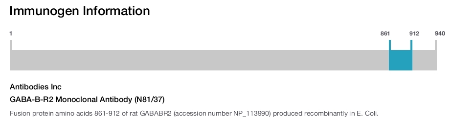 GABA-B-R2 Monoclonal Antibody (N81/37)