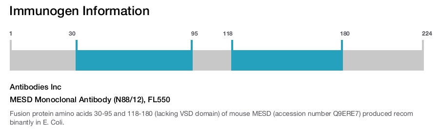 MESD Monoclonal Antibody (N88/12), FL550