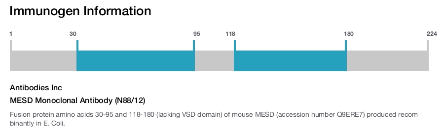 MESD Monoclonal Antibody (N88/12)