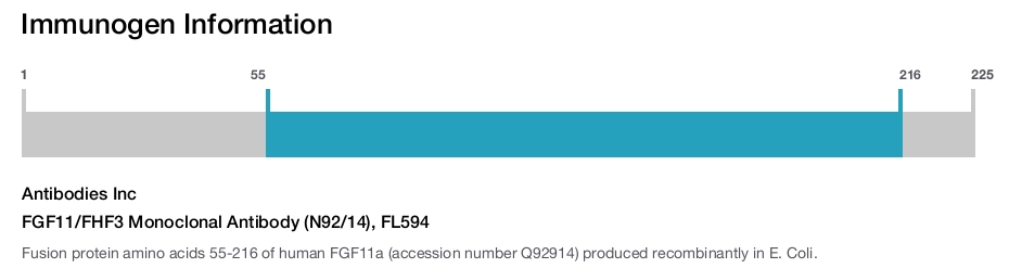 FGF11/FHF3 Monoclonal Antibody (N92/14), FL594