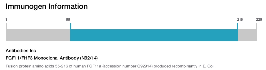 FGF11/FHF3 Monoclonal Antibody (N92/14)