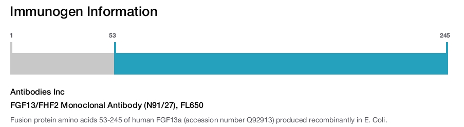 FGF13/FHF2 Monoclonal Antibody (N91/27), FL650