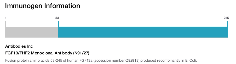 FGF13/FHF2 Monoclonal Antibody (N91/27)