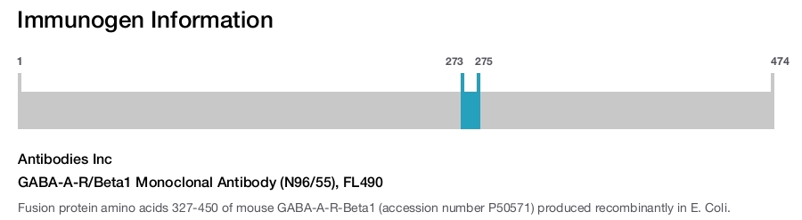 GABA-A-R/Beta1 Monoclonal Antibody (N96/55), FL490