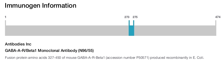 GABA-A-R/Beta1 Monoclonal Antibody (N96/55)