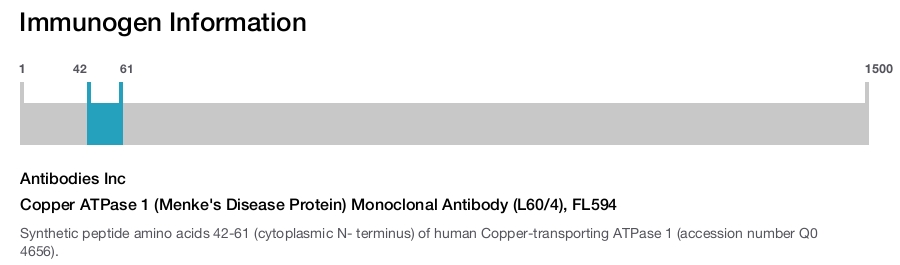 Copper ATPase 1 (Menke's Disease Protein) Monoclonal Antibody (L60/4), FL594