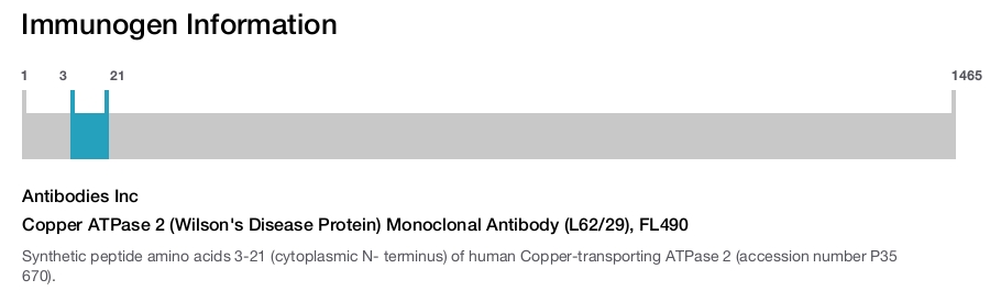 Copper ATPase 2 (Wilson's Disease Protein) Monoclonal Antibody (L62/29), FL490