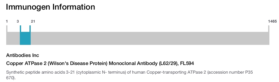 Copper ATPase 2 (Wilson's Disease Protein) Monoclonal Antibody (L62/29), FL594