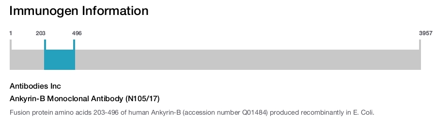 Ankyrin-B Monoclonal Antibody (N105/17)
