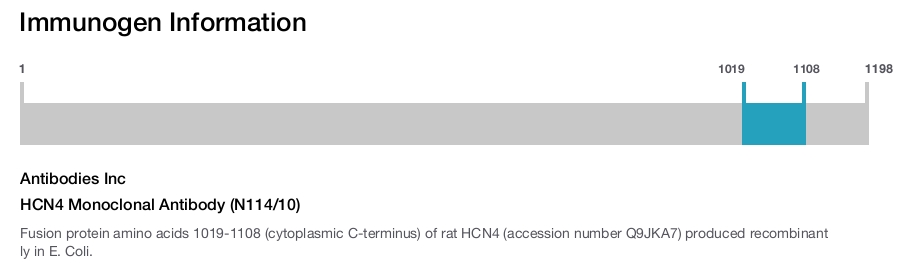 HCN4 Monoclonal Antibody (N114/10)