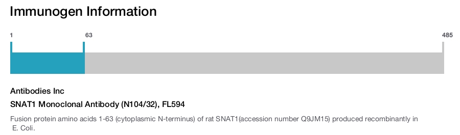 SNAT1 Monoclonal Antibody (N104/32), FL594