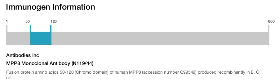 MPP8 Monoclonal Antibody (N119/44)
