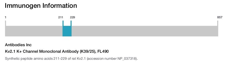 Kv2.1 K+ Channel Monoclonal Antibody (K39/25), FL490