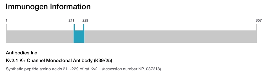 Kv2.1 K+ Channel Monoclonal Antibody (K39/25)