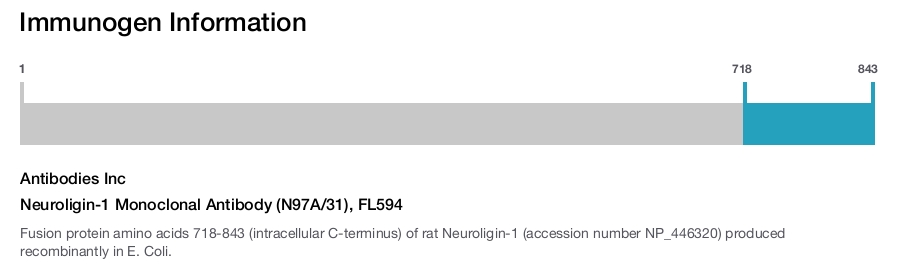 Neuroligin-1 Monoclonal Antibody (N97A/31), FL594