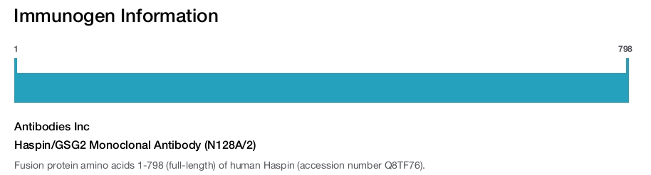 Haspin/GSG2 Monoclonal Antibody (N128A/2)