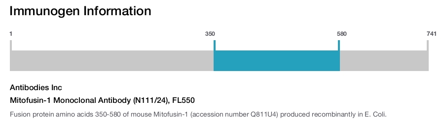 Mitofusin-1 Monoclonal Antibody (N111/24), FL550